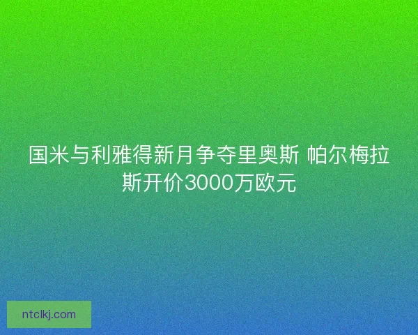 国米与利雅得新月争夺里奥斯 帕尔梅拉斯开价3000万欧元
